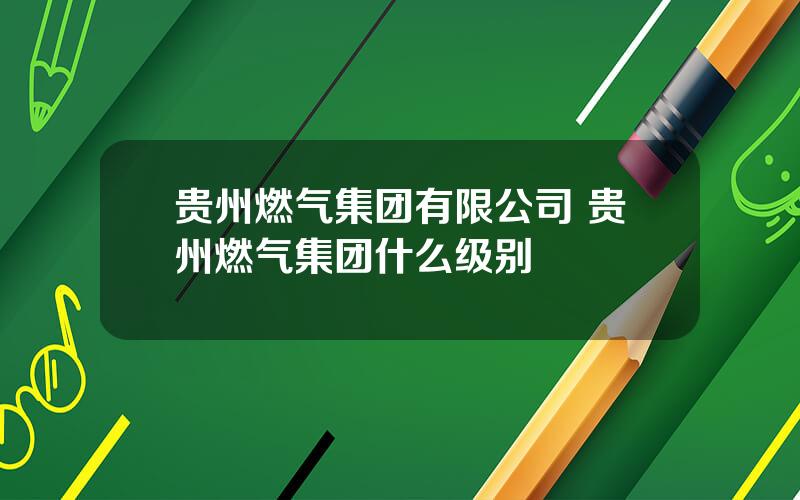 贵州燃气集团有限公司 贵州燃气集团什么级别